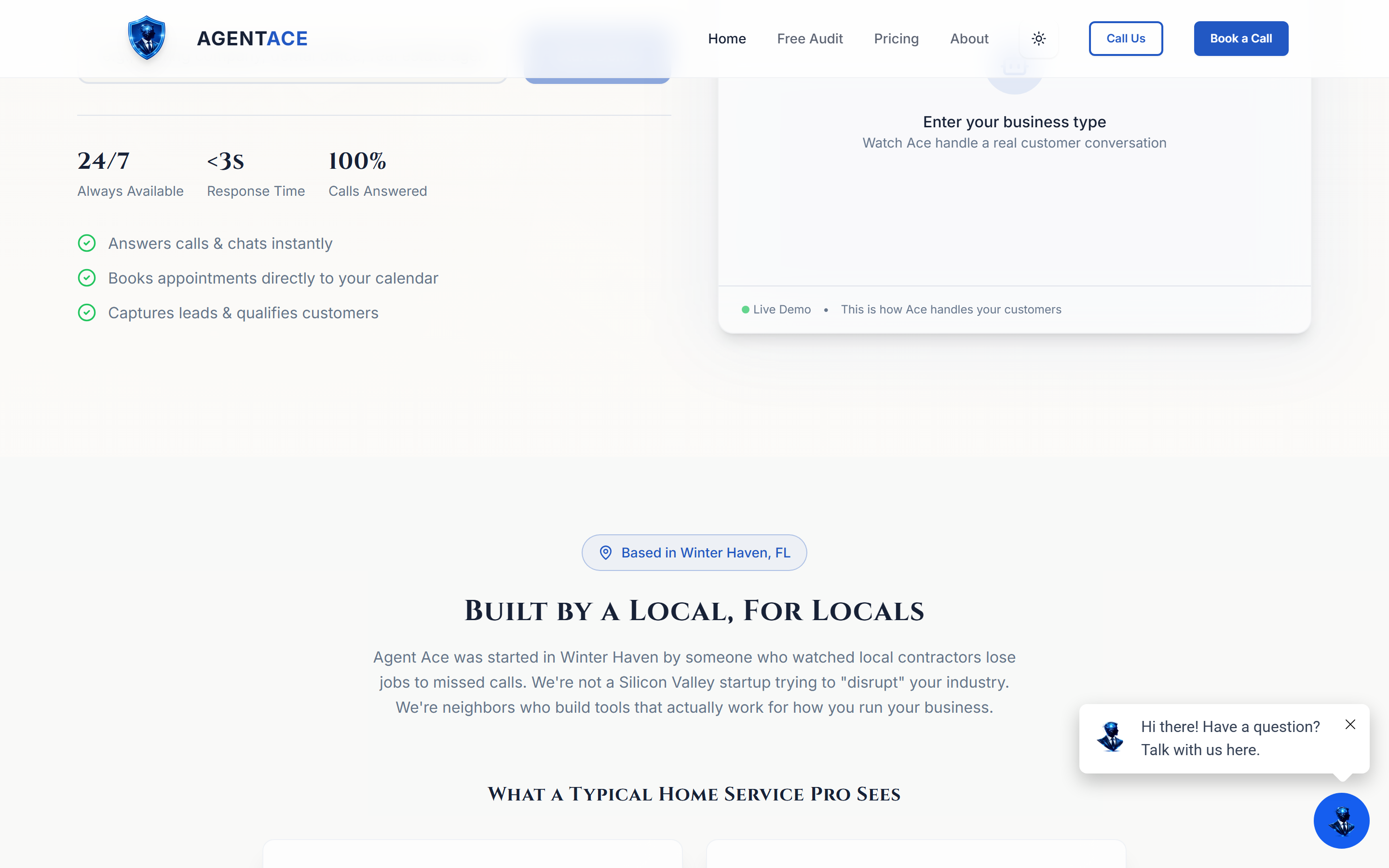 AgentAce — view 3